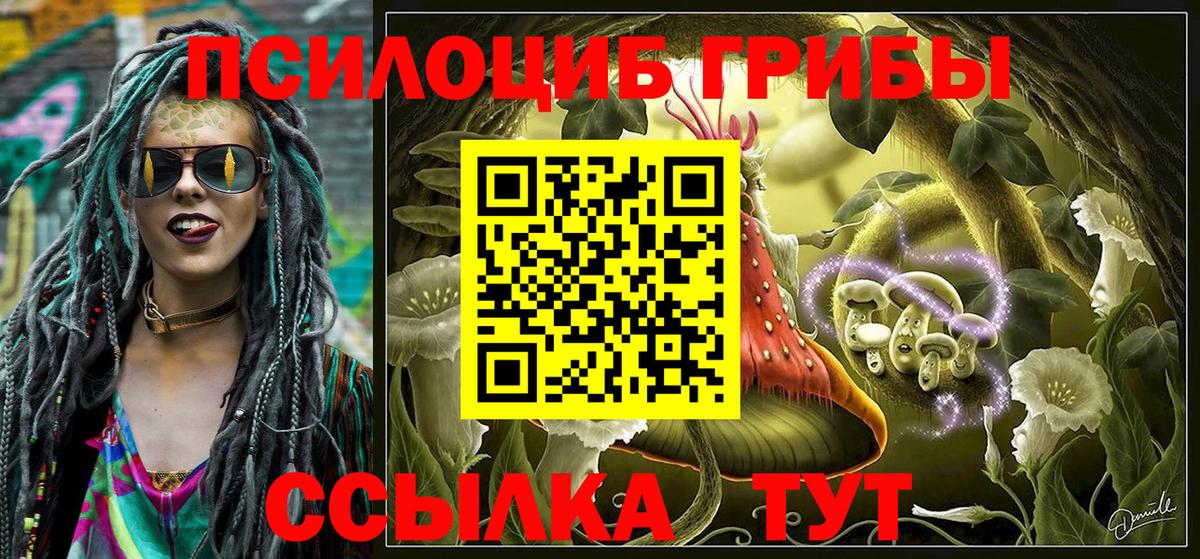 Псилоцибиновые грибы прущие грибы  Вход с VPN  Семёнов 