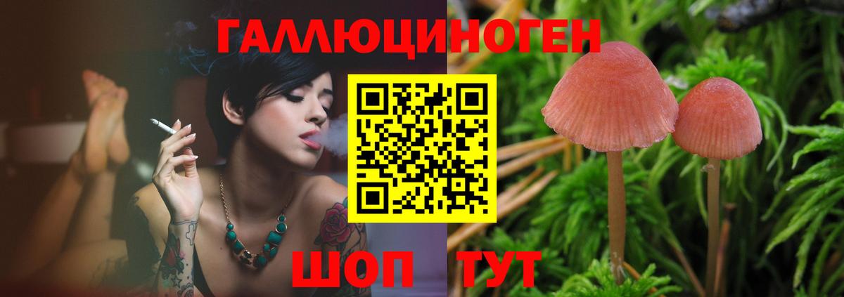 Псилоцибиновые грибы GOLDEN TEACHER Семёнов